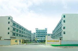 浙江開拓數碼科技 技術開發驅動下的創新圖景